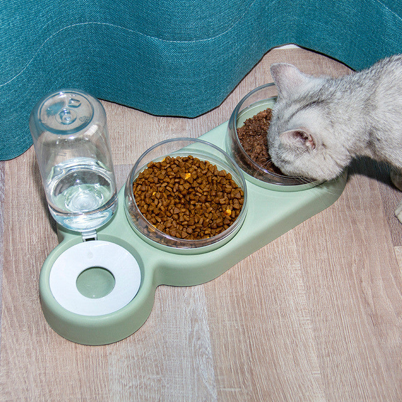 Cat eating from a raised pet double bowl with water fountain feeder