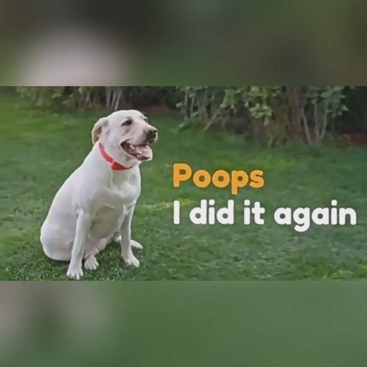 Demo video of the 8-claw dog pooper scooper with built-in bag dispenser in use