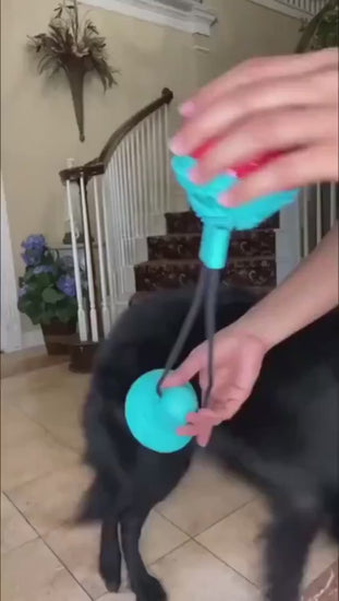 Demo video of the silicone suction cup dog tug toy in use