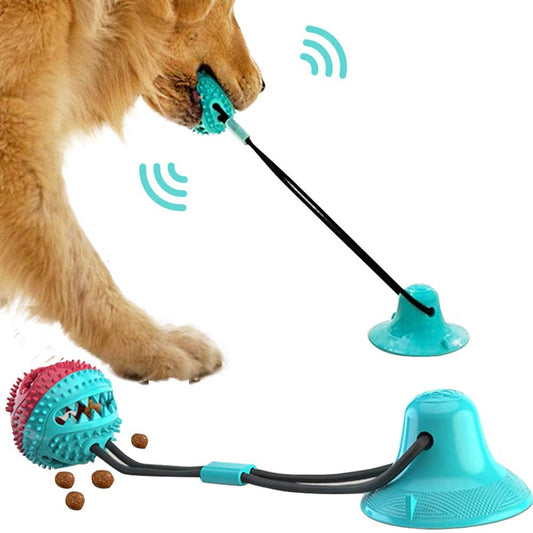 Silicone suction cup dog tug toy being played with by a dog